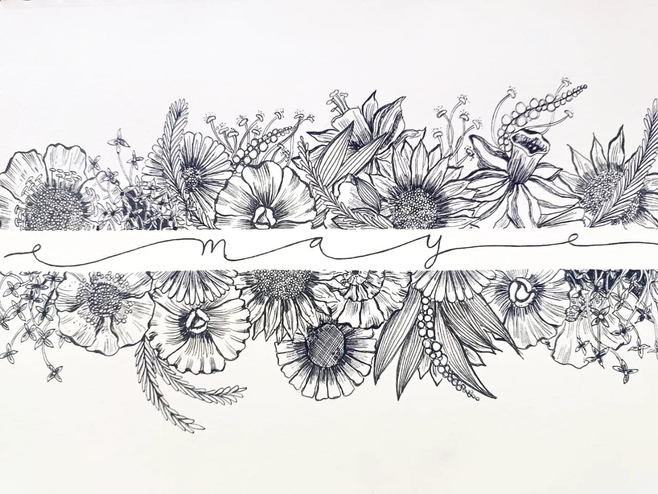 Illustration and design work 17